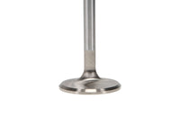 Manley Volkswagen 1.2L Type I Intake Valve Kit - 42.00mm Head Dia. 4.405in O/A Length, 0.3130in Stem
