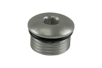 Turbosmart -10AN ORB Blank - Clear