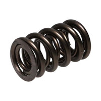 Manley Valve Spring, SPRING-1.610 DOUBLE