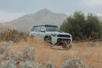 DV8 25-26 Toyota 4Runner Exterior Window Molles (Use w/ PN dveRRTF3-02) - Driver & Passenger