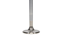 Manley Ford 4.6L/5.4L DOHC 4V 37mm Dia 5.339in Length Bead Loc Race Master Intake Valves (Set of 8)
