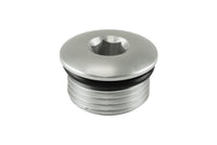 Turbosmart -12AN ORB Blank - Clear