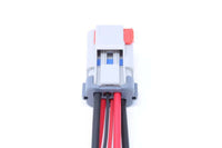 Aeromotive VaporWorx Ford GT500 6-Pin Electrical Fuel Module Plug Kit