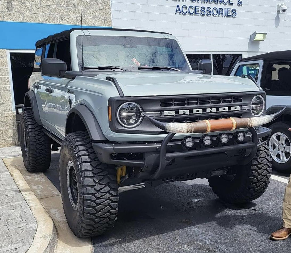 Bronco steer horns