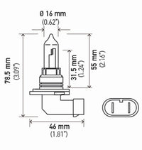 Hella Bulb 9005 12V 65W P20D T4 +50 (2)