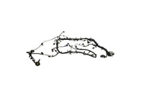Ford Racing 5.0L Coyote Engine Harness for Automatic Transmission