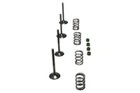 Wiseco 06-11 Suzuki LT-R450 Steel Valve Set