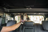 DV8 Offroad 2021-2024 Ford Bronco Dog Barrier