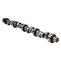 Edelbrock Chrysler 273-360 SB Rollin Thunder Camshaft - Hydraulic Roller