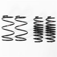 RS-R 10-15 Toyota Prius (ZVW30) Down Sus Springs