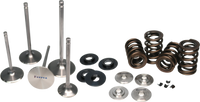 Ferrea Acura K20 Endurance Dual Spring Kit