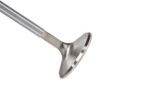 Manley 90-99 Mazda Miata 1.8L (BP056) DOHC 16 Intake 33mm Stainless Race Master Valve - Single