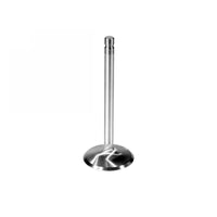 Ford Racing Intake Valve