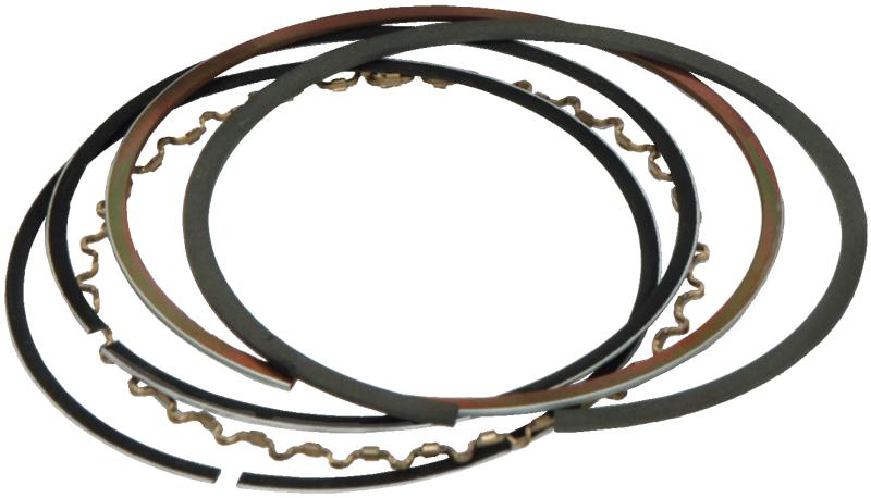 CP Oil Ring