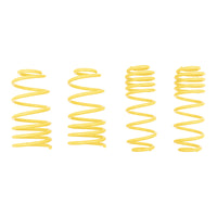 ST Sport-tech Lowering Springs VW Golf IV New Beetle Beetle Convertible