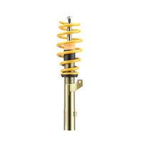 ST Coilover Kit 94-01 Acura Integra (Excl Type-R)