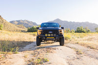 DV8 Offroad 21-23 Ford F-150 Tube Front Bumper