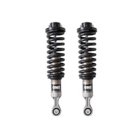 ARB OME Struts & Cartridges