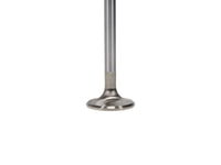 Manley Volkswagen Rabbit Exhaust Valve Kit - 34.00mm Head Dia. 3.976in O/A Length, 0.3130in Stem