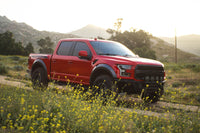 DV8 Offroad Ford 17-20 Ford F-150 Raptor Tube Front Bumper