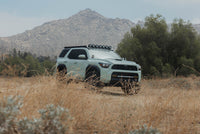 DV8 25-26 Toyota 4Runner Exterior Window Molles (Use w/ PN dveRRTF3-02) - Driver & Passenger