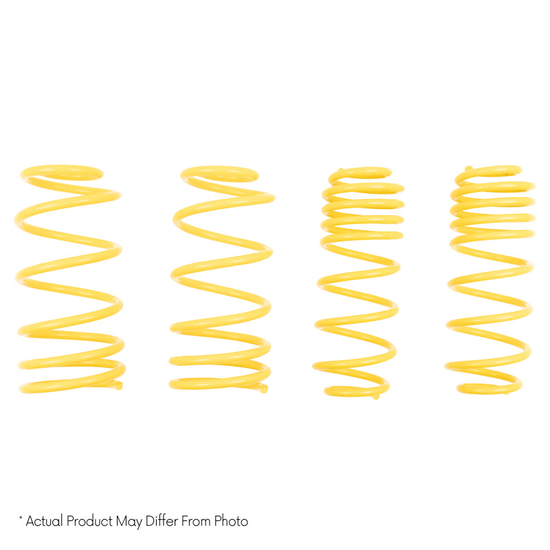 ST Muscle Car Springs Chevrolet Chevelle Malibu El Camino