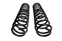 ICON 21-24 Raptor Triple Rate Coil Spring Kit