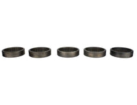 Ford Racing Camshaft Bearings - Roller (Sold in Engine Sets)