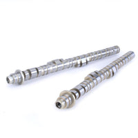 Skunk2 Honda K20A/K20A2/K24A2 BMF1 Camshafts