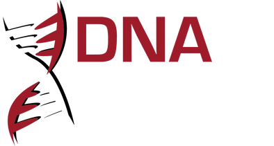 Your Number #1 Source for Highperformance AutoParts & Truck Accesories ...