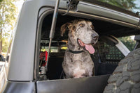 DV8 Offroad 2021-2024 Ford Bronco Dog Barrier