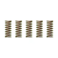 Wiseco XR400/TRX250/ATC250R Clutch Spring Kit