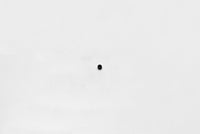 Wilwood bolt 10-32X.19 LG (3/16) set screw cup point black
