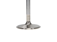 Manley Ford Boss 429 Stainless Steel Race Master Intake Valves 2.400 Head Dia 5.570 OA Lgt-Set of 8