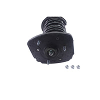 KYB Shocks & Struts Strut Plus Rear Right BUICK Century 1997-05 BUICK Regal 1997-04 CHEVROLET Impala