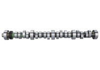 Ford Racing Small Block V-8 Hydraulic Roller Tappet Camshafts