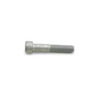 Wilwood bolt M10X1.25X55 mm LG shcs 12.9 WES072 CL1 silver iso 4762/DIN 912