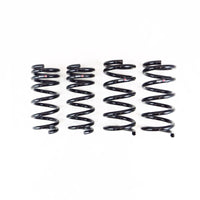 RS-R 2023+ Nissan Z (RZ34) Down Sus Springs