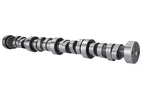 Ford Racing Small Block V-8 Hydraulic Roller Tappet Camshafts