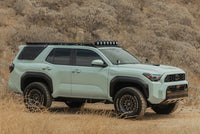 DV8 25-26 Toyota 4Runner Exterior Window Molles (Use w/ PN dveRRTF3-02) - Driver & Passenger