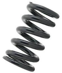 Tein Coilover Spring (Two Springs)
