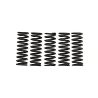 Wiseco CRF250R/RM-Z250 Clutch Spring Kit