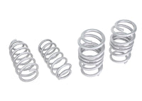Whiteline 17-26 TESLA MODEL 3 Lowered Front and Rear Lower Coil Spring Lowering Kit