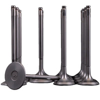 Skunk2 Ultra Series Honda/Acura Stock Size B Series VTEC Valve Set (Standard Compression)