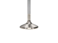 Manley Nissan GT-R 3.8L (VR38DETT) DOHC 37.15mm Race Master Intake Valves (Set of 24)