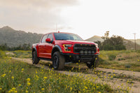 DV8 Offroad Ford 17-20 Ford F-150 Raptor Tube Front Bumper