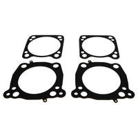 Wiseco HD Milwaukee 8 CVO 117cid 11.01 CR (X) Piston Kit