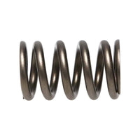 Manley Valve Spring, SPRING-NISSAN PATROL TB48