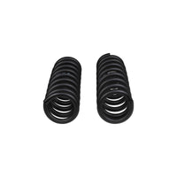 ARB / OME Set of Coil Springs