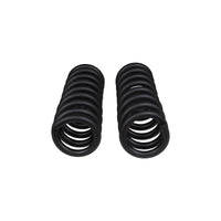 ARB / OME Front Coil Springs